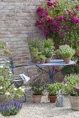 Gravel terrace with pot arrangement on a blue table