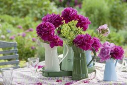 Garden party in early summer under walnut tree