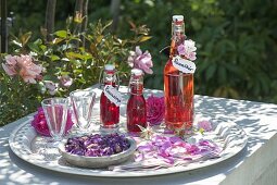 Flaschen mit Rosenlikoer und Rosensirup , Blüten von Rosa (Rosen)
