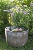 Garden corner with water feature