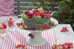 Beerentorte aus Erdbeeren (Fragaria), roten Johannisbeeren (Ribes rubrum)