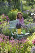 Chair with freshly cut lavender (Lavandula)