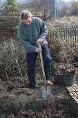 Create a hillside bed in a vegetable garden