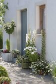 White planted tubs at the house entrance