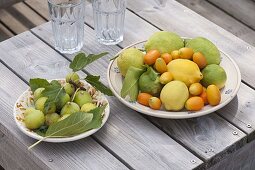 Freshly picked mediterranean fruits on pottery