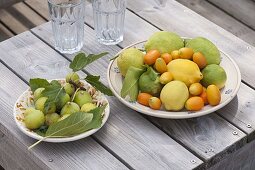 Frisch gepflueckte mediterrane Früchte auf Keramik