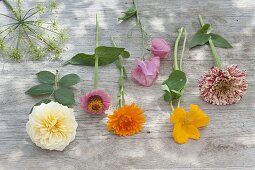 Zutaten-Tableau für Spaetsommerstrauss