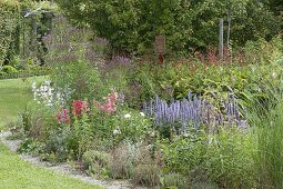 Staudenbeet mit Verbena hastata 'Pink Spires' (Lanzen-Eisenkraut)