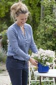 Frau bringt weiße Blumen in blauen Emaille - Toepfen