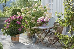 Terrasse mit Hortensien