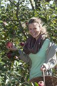 Frau bei der Apfelernte