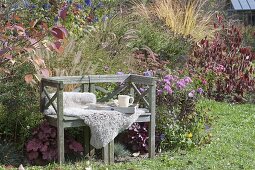 Bench on autumnal bed with perennials and grasses