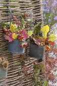 Floristic decorations with finds from the autumn forest