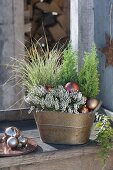 Kupferne Jardiniere weihnachtlich mit Calluna Garden Girls 'Helena'