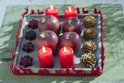 Wooden coaster with 4 red candles, apples (malus), cones