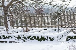 Verschneiter Bauerngarten mit Apfelbaum (Malus) und Zaun