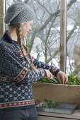 Woman harvesting spinach 'Matador' in the cold conservatory