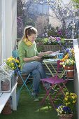 Balcony through the seasons