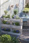 Terrace with planted Euro pallets as privacy screen