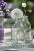 Unusual lilac table decoration