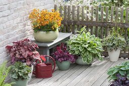 Terrasse mit Pflanzen für den Halbschatten