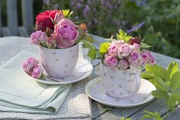 Pink (rose) and lemon balm (Melissa) as a mini-bouquet