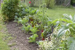 Create and plant the hillside