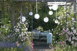 Pavilion with roses and wild wine