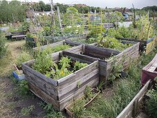 Urban Gardening Berlin