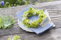 Scented wreath of Alchemilla (lady's mantle) flowers