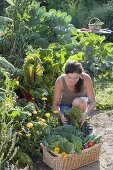 Frau erntet Gemüse im Biogarten