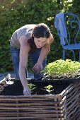 Gravel terrassse with raised beds made of hazelnut rods