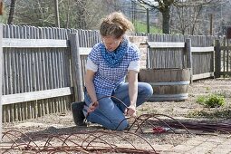 Plant tomatoes and marigolds in an organic garden bed