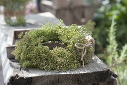 Herbstlicher Kranz aus Samenstaenden von Fenchel (Foeniculum)