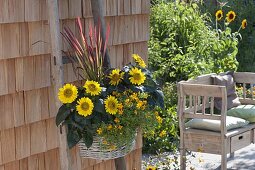 Basket with helianthus (sunflower) and tagetes tenuifolia