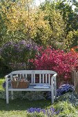 Seat on the autumnal bed with shrubs and perennials