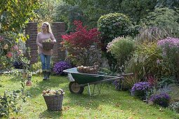 Herbst im Garten