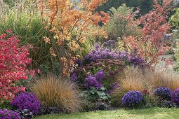 Indian summer in the autumn garden