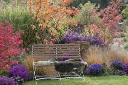 Indian summer in the autumn garden