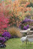 Indian summer in the autumn garden