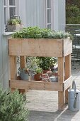 Rollbares Hochbeet auf Balkon selbst bauen und mit Kräutern bepflanzen
