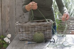 Hanging basket box with Pelargonium peltatum Ville de Paris