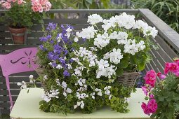 Balcony through the seasons