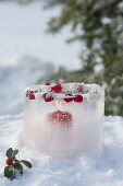 Ice lantern with frozen berries