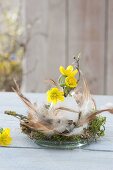 Small Easter decoration on glass bowl with feathers and moss with Eranthis