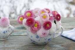 Straeusschen aus Bellis (Tausendschön) in Omas alter Bluemchentasse