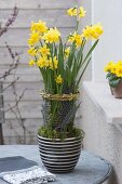 Narcissus 'Tete A Tete' with willow tassels and feathers