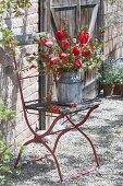 Rural bouquet from Chaenomeles, Malus