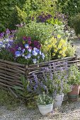 Gravel terrassse with raised beds made of hazelnut rods