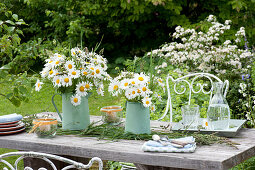 Bouquets of Leucanthemum vulgare (daisies)